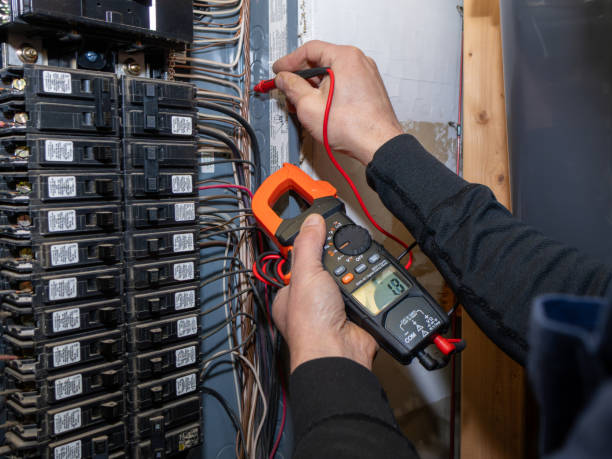 Best Local Electrician Companies  in Burgaw, NC